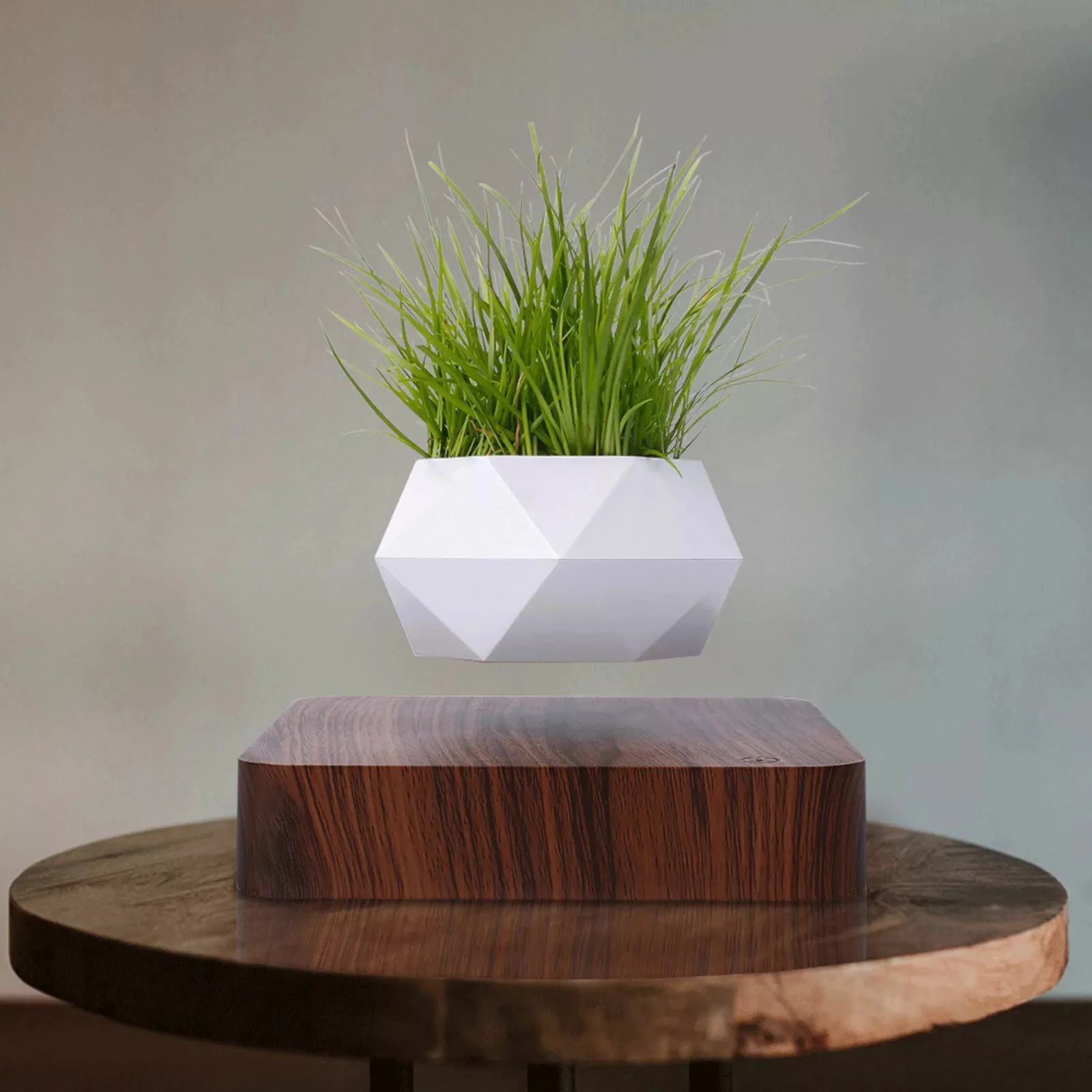 Floating Plant Pot with Levitating Design